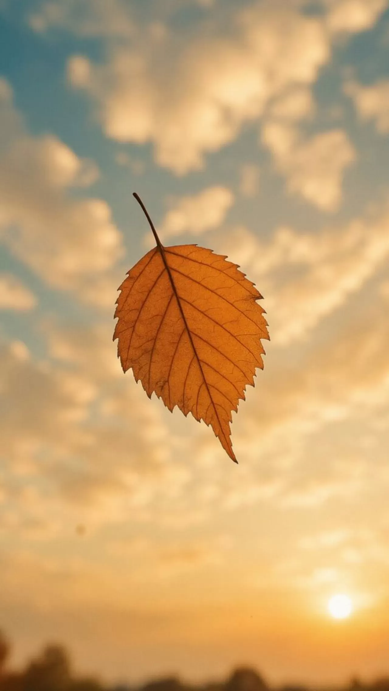 Rize Adatıp Hastanesi Ekim Ayı Faaliyet Raporunu Açıkladı