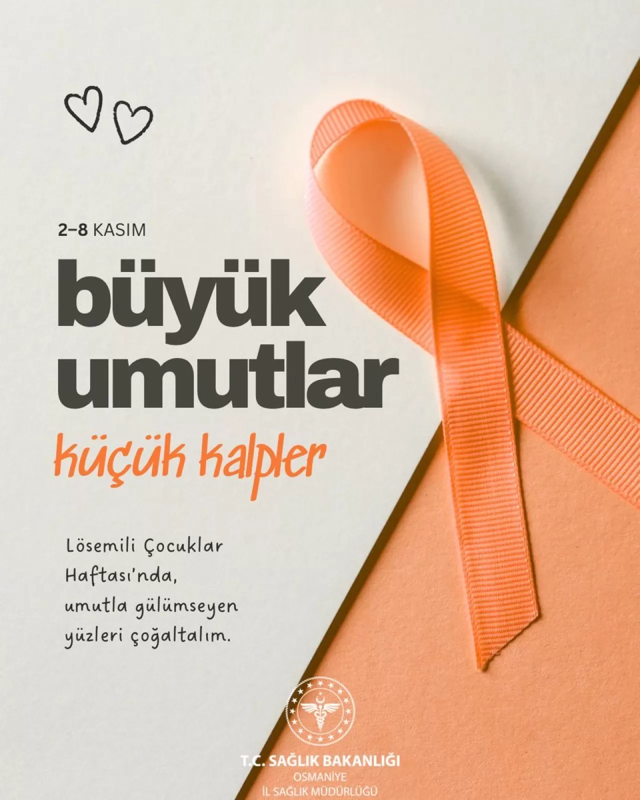 Osmaniye'de Lösemili Çocuklar Haftası'nda Erken Teşhisin Önemi Vurgulandı