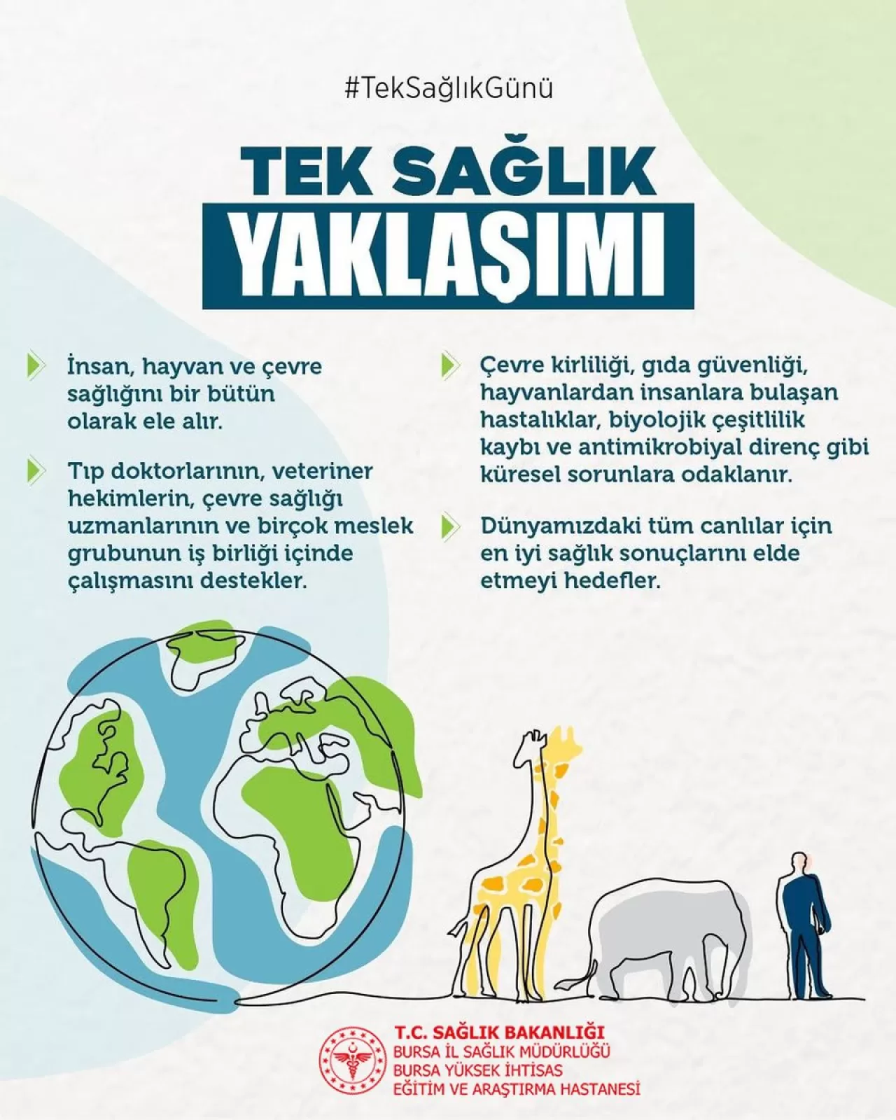 Bursa'da 3 Kasım Tek Sağlık Günü: İnsan, Hayvan ve Çevre Sağlığı Bir Bütün Olarak Ele Alınıyor