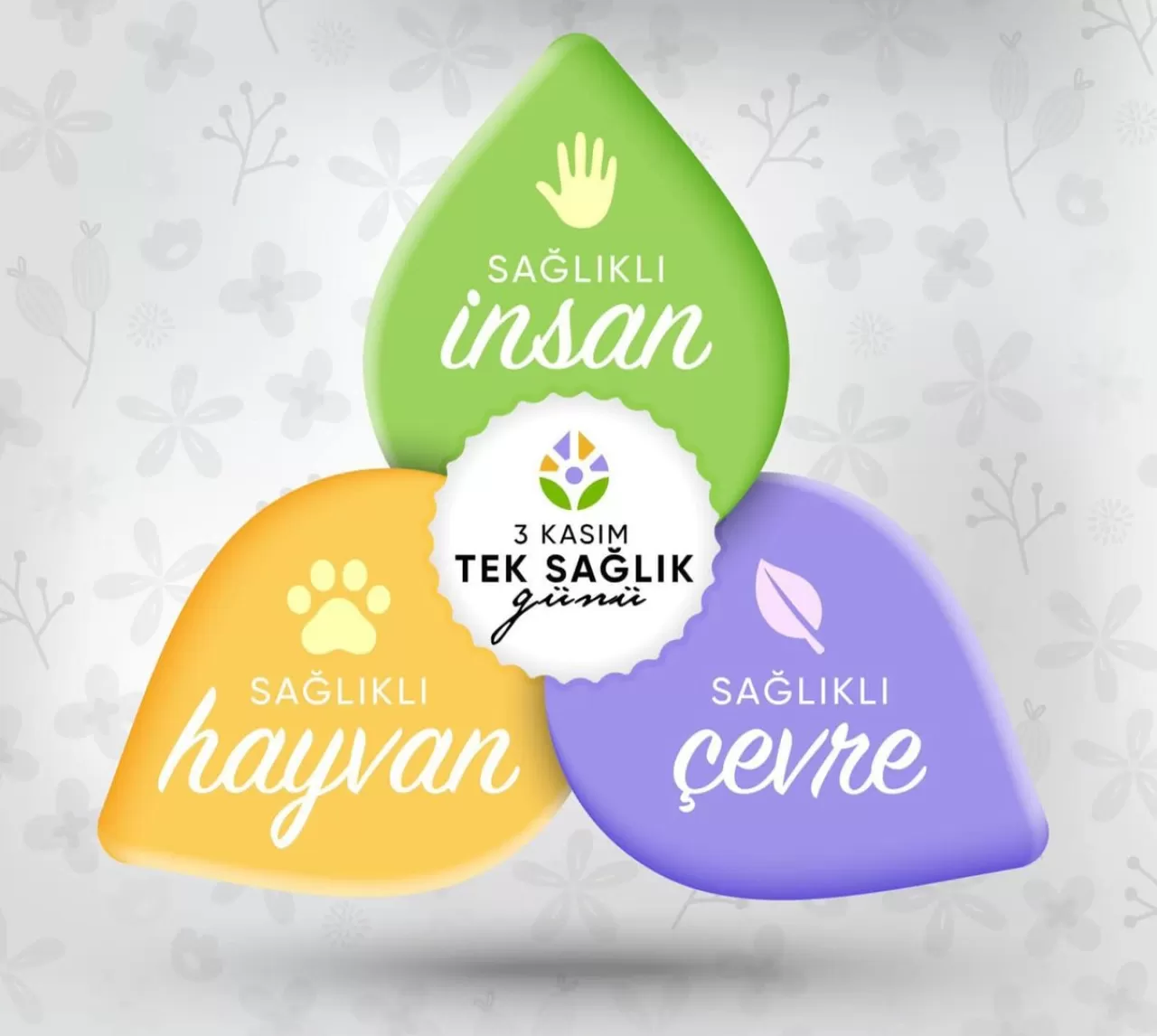 Yalova İl Sağlık Müdürlüğü'nden Tek Sağlık Günü'nde Anlamlı Mesaj