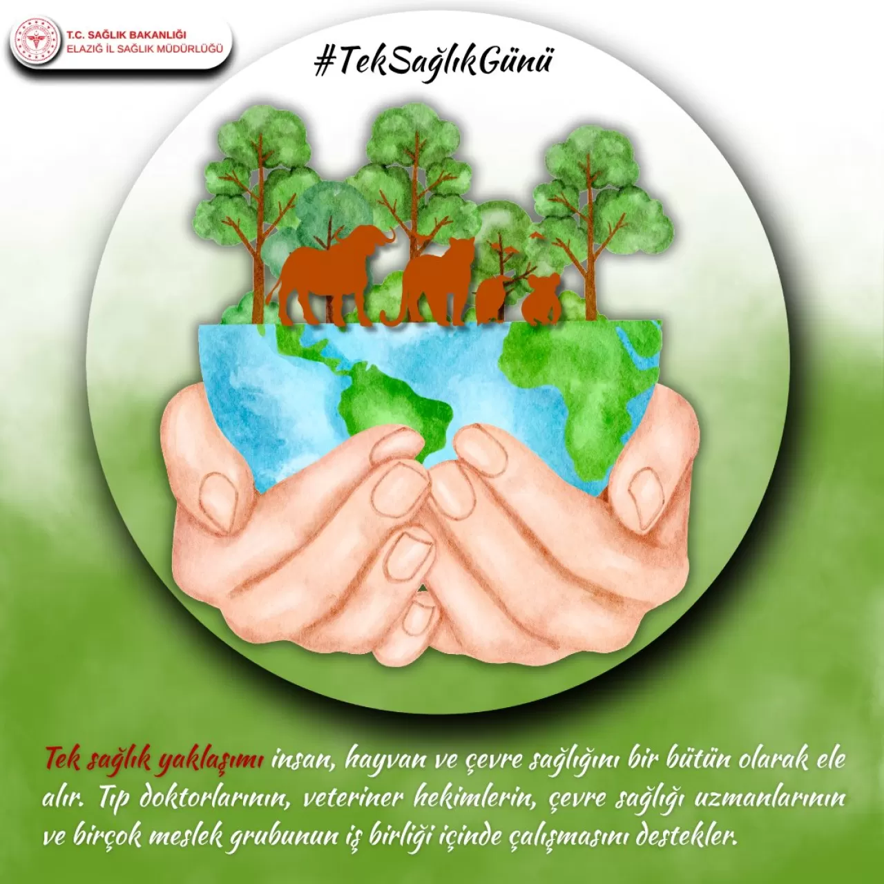 Elazığ'da Tek Sağlık Yaklaşımı ile İnsan, Hayvan ve Çevre Sağlığı Bir Bütün Olarak Ele Alınıyor
