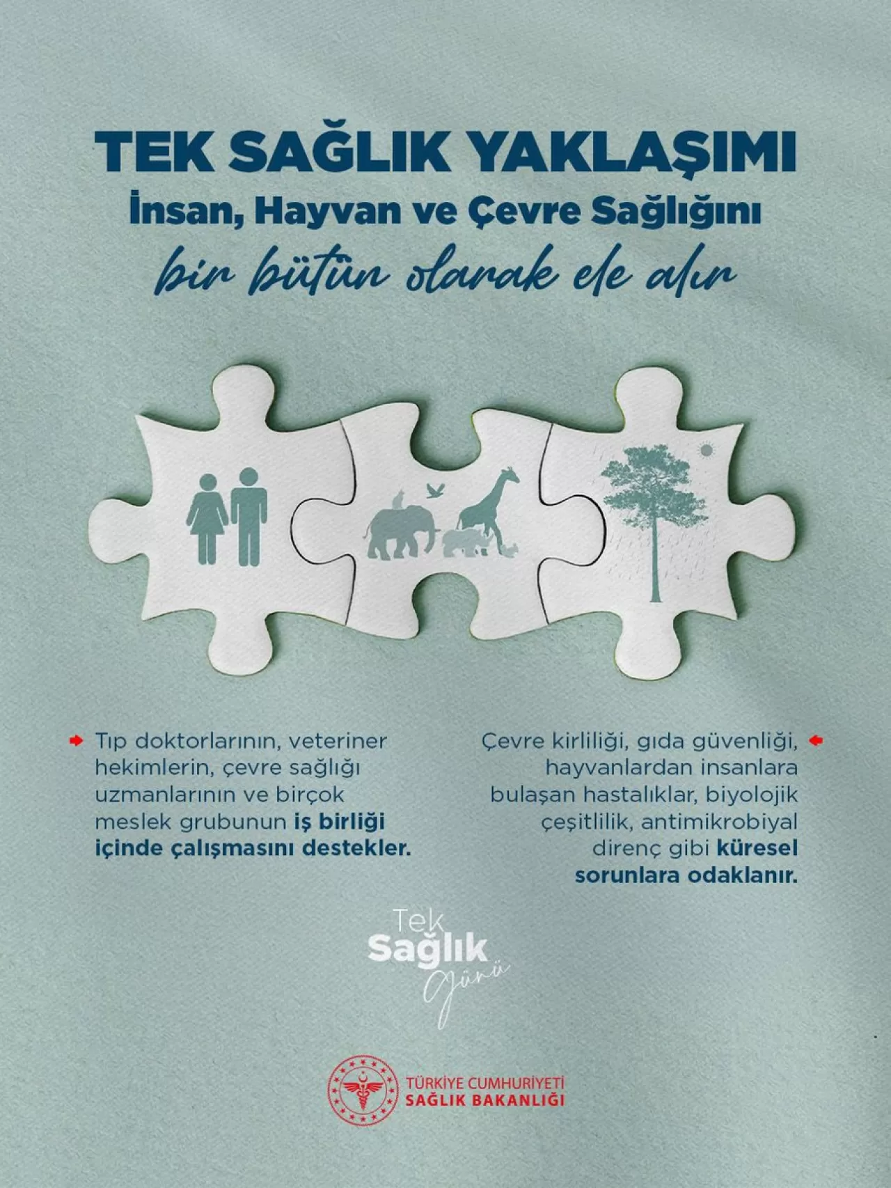 Kulp Devlet Hastanesi'nden Tek Sağlık Yaklaşımı Vurgusu