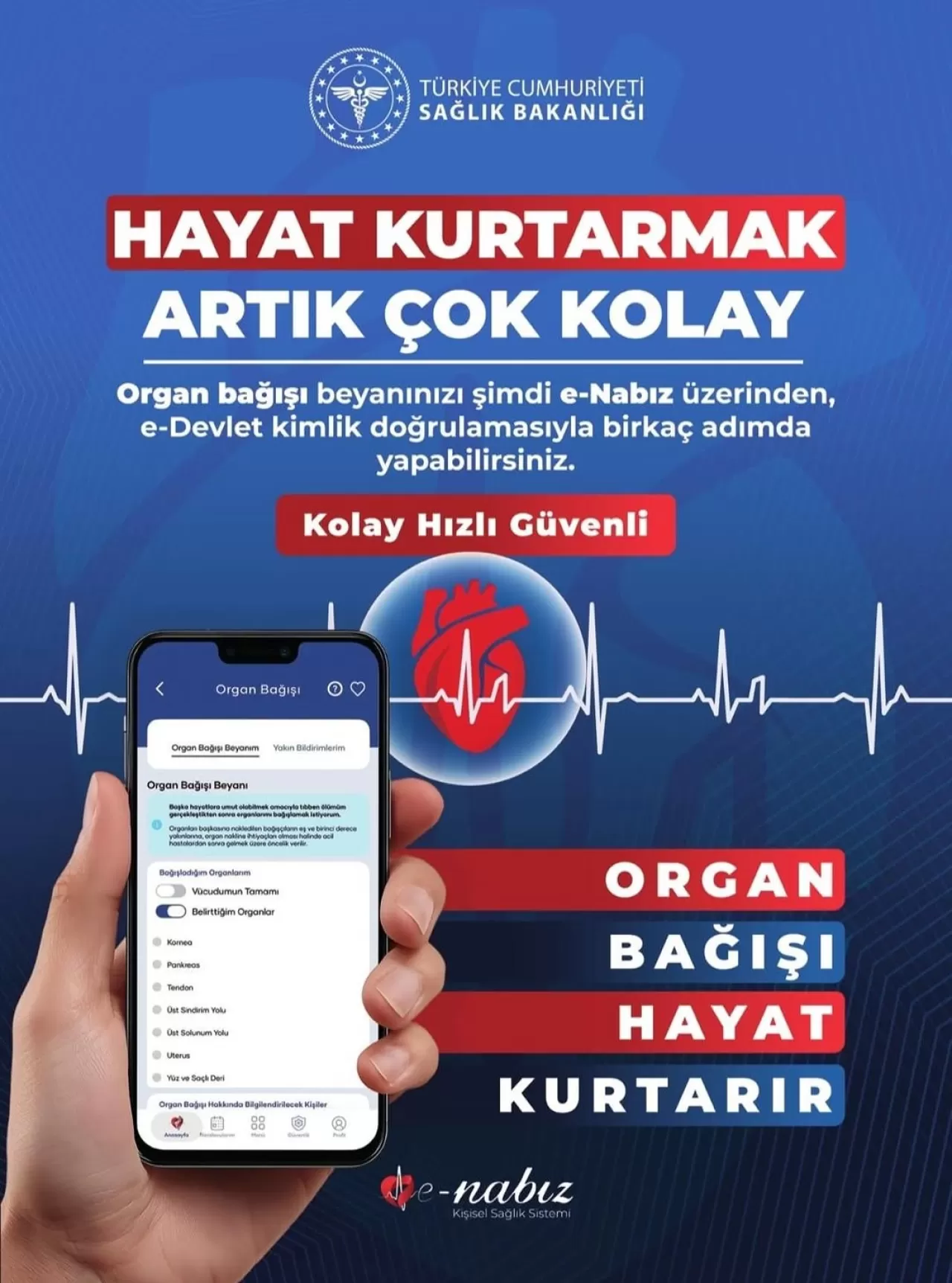Sinop'ta Organ Bağışı Farkındalığı Artıyor: Hayat Kurtarmak Çok Kolay