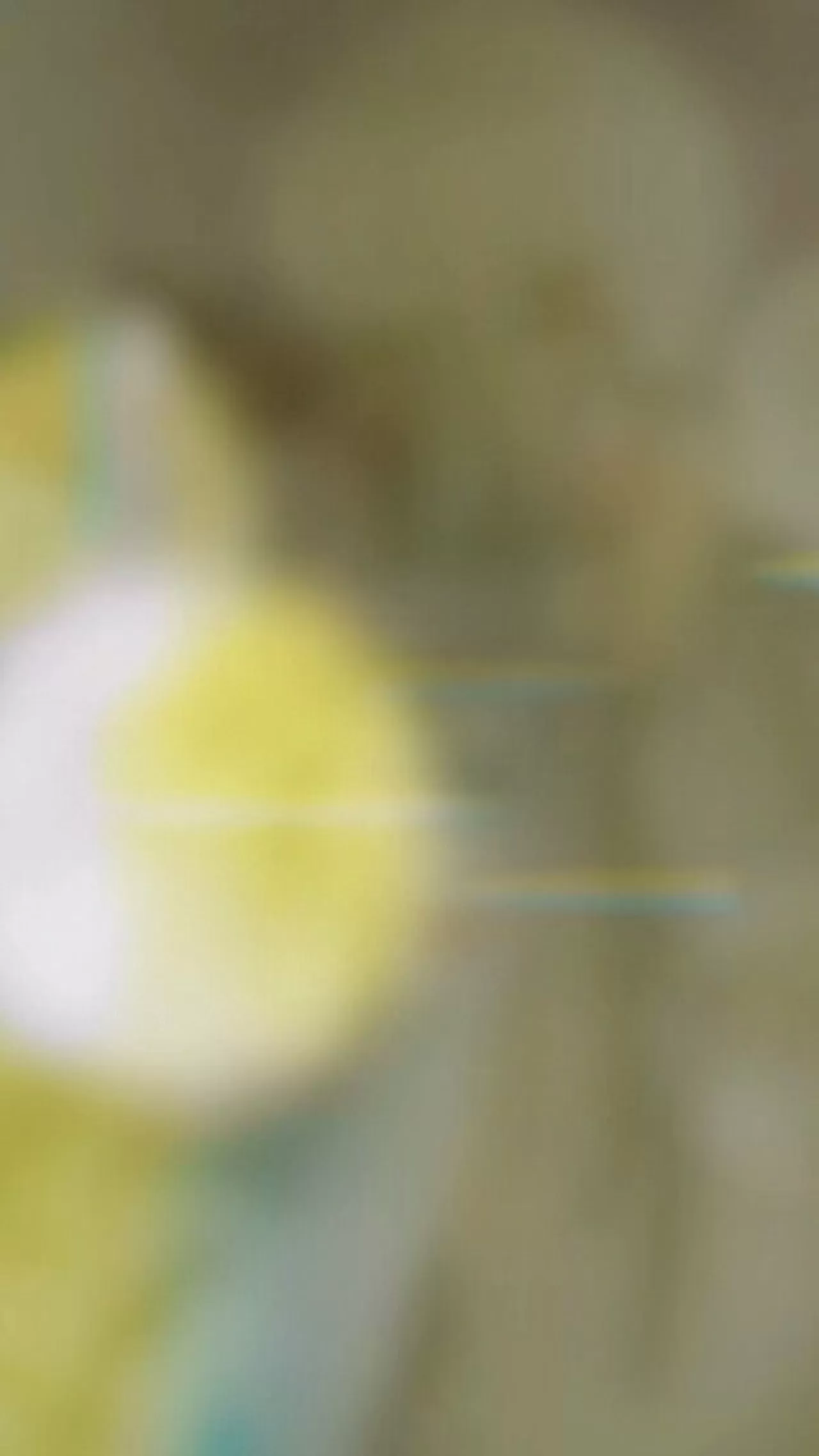 Muğla İl Sağlık Müdürü Dr. Eriş Başaran Akça, Datça'daki ASHİ'leri Ziyaret Etti