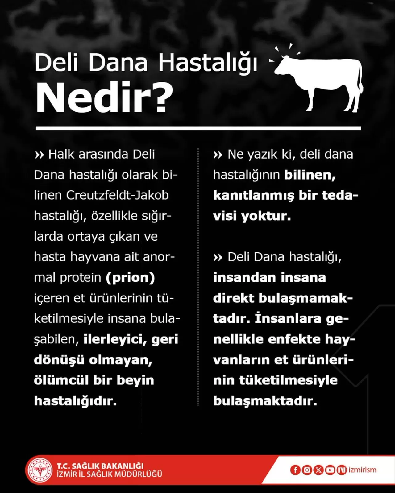 İzmir İl Sağlık Müdürlüğü Deli Dana Hastalığı Hakkında Bilgilendirme Yaptı
