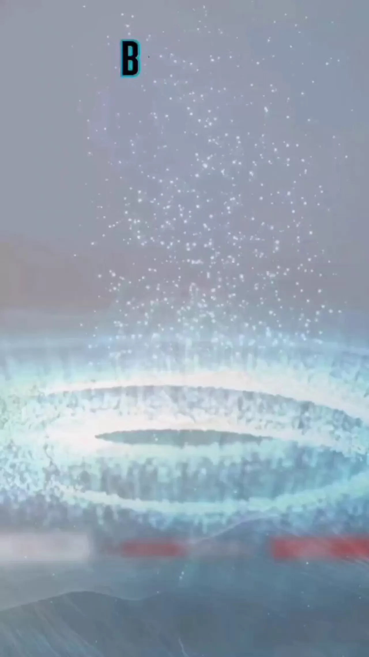 Batman'da Organ Bağışı Farkındalığı: Her Bağış Bir Hayat Demektir