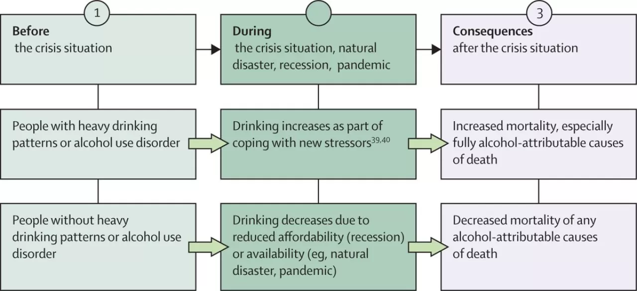 Alkol Kullanım Bozuklukları ve Entegre Kontrol Politikalarının Önemi