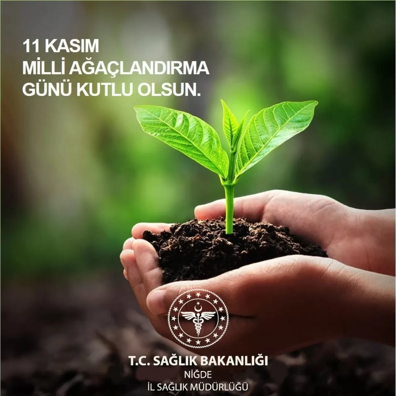 Niğde'de 11 Kasım Milli Ağaçlandırma Günü Kutlandı