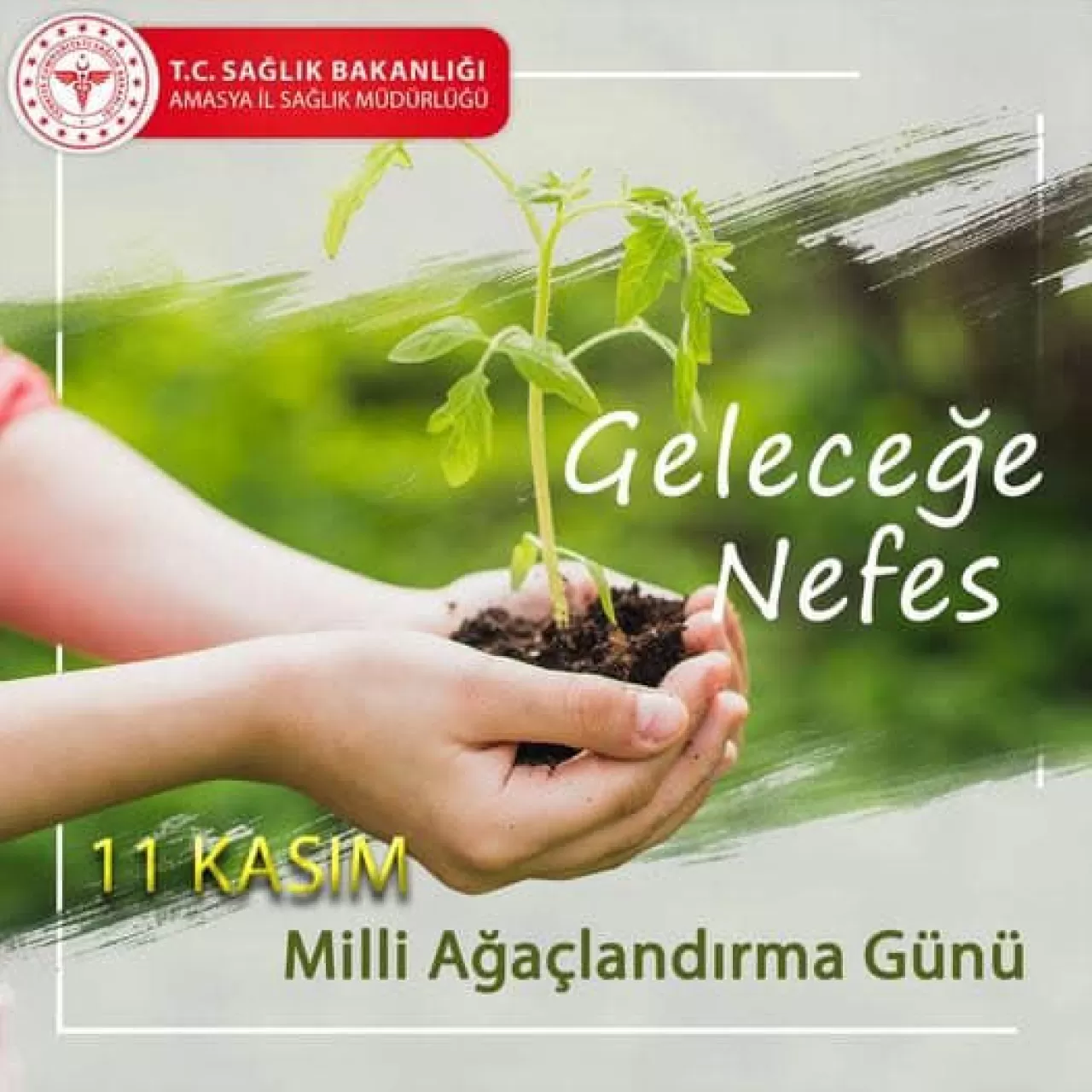 Amasya'da Milli Ağaçlandırma Günü'nde Geleceğe Nefes Olacak Fidanlar Toprakla Buluştu