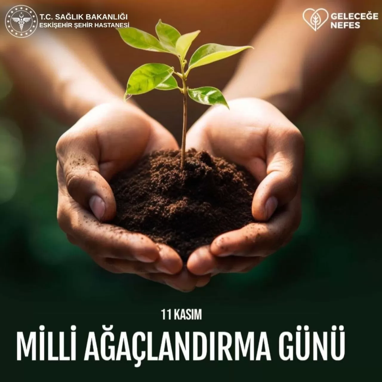 Eskişehir Şehir Hastanesi, 11 Kasım'da Fidan Dikimi ile Geleceğe Nefes Oldu