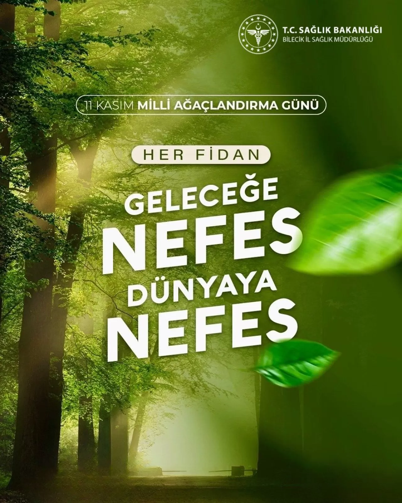 Bilecik'te 11 Kasım Millî Ağaçlandırma Günü'nde Fidanlar Toprakla Buluştu