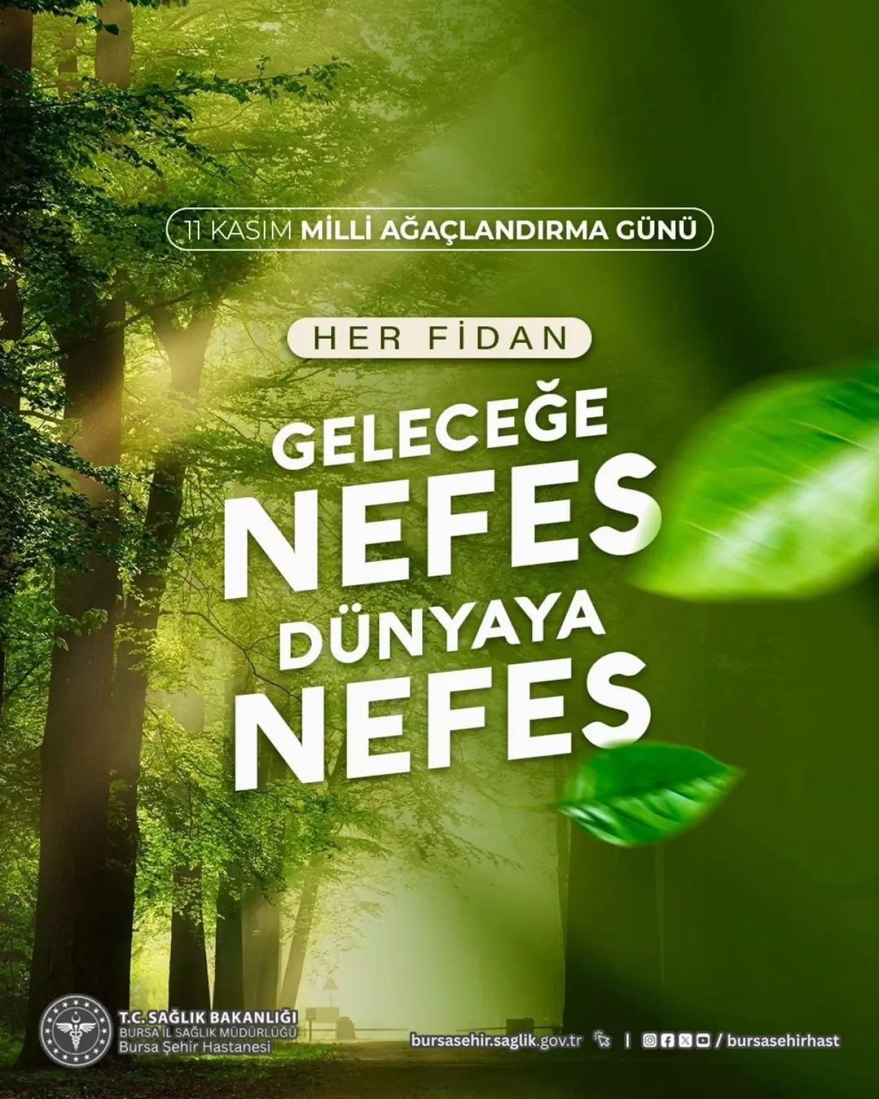 Bursa'da Doğayı Koruma ve Geleceği Yeşillendirme Çağrısı