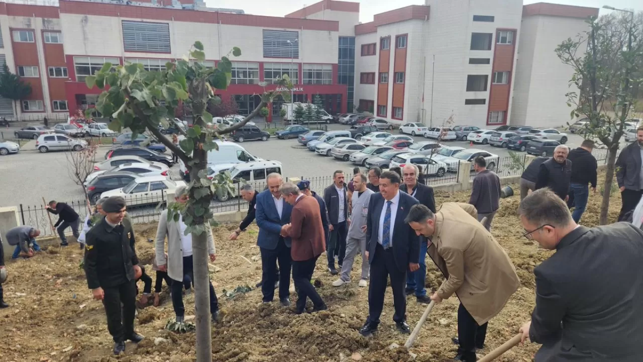 Havza Devlet Hastanesi Çalışanları 11 Kasım'da Fidan Dikti