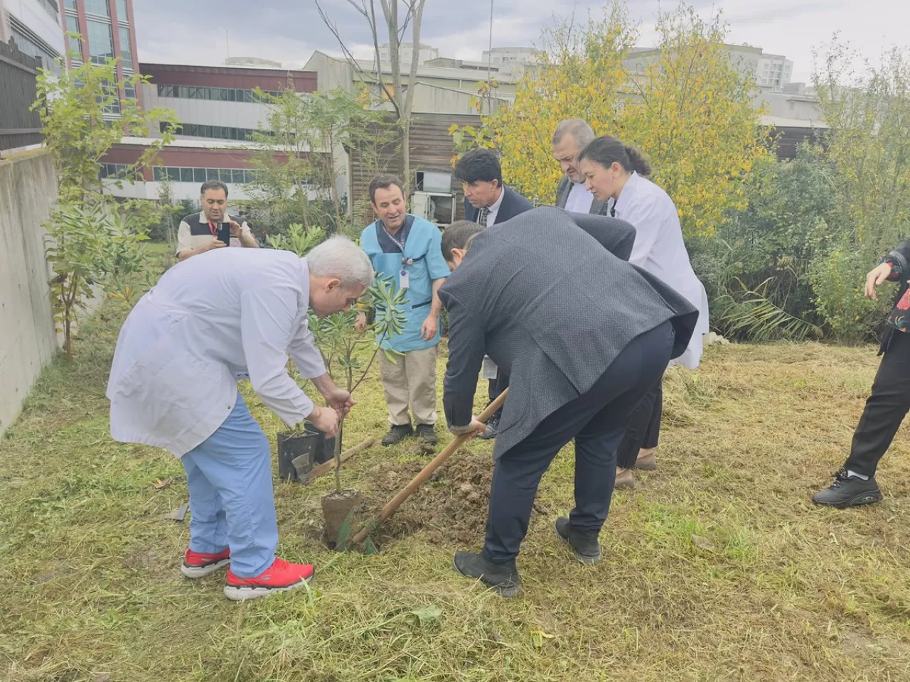 İstanbul Mehmet Akif Ersoy Hastanesi'nde 11 Kasım Ağaçlandırma Günü'nde Fidanlar Toprakla Buluştu