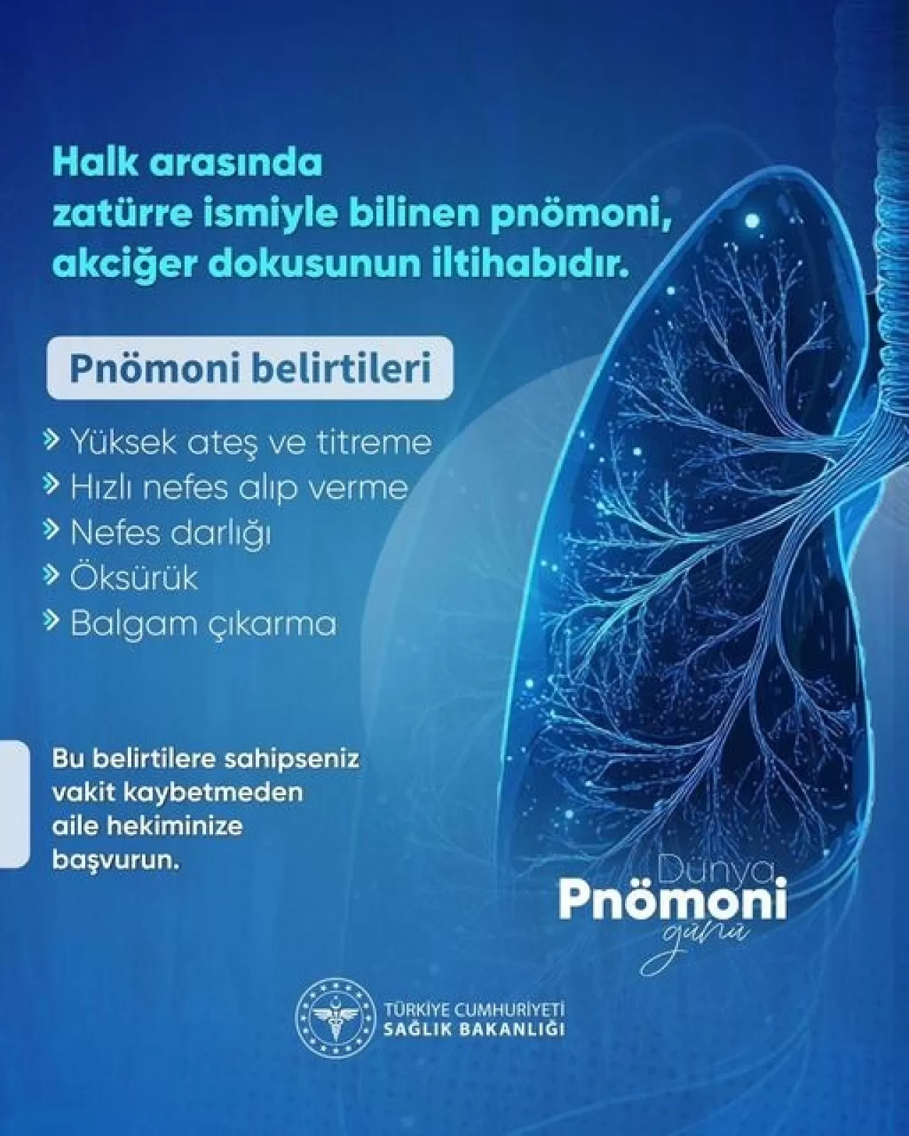Muğla'da Dünya Zatürre Günü Etkinlikleri: Vatandaşlar Bilinçlendiriliyor