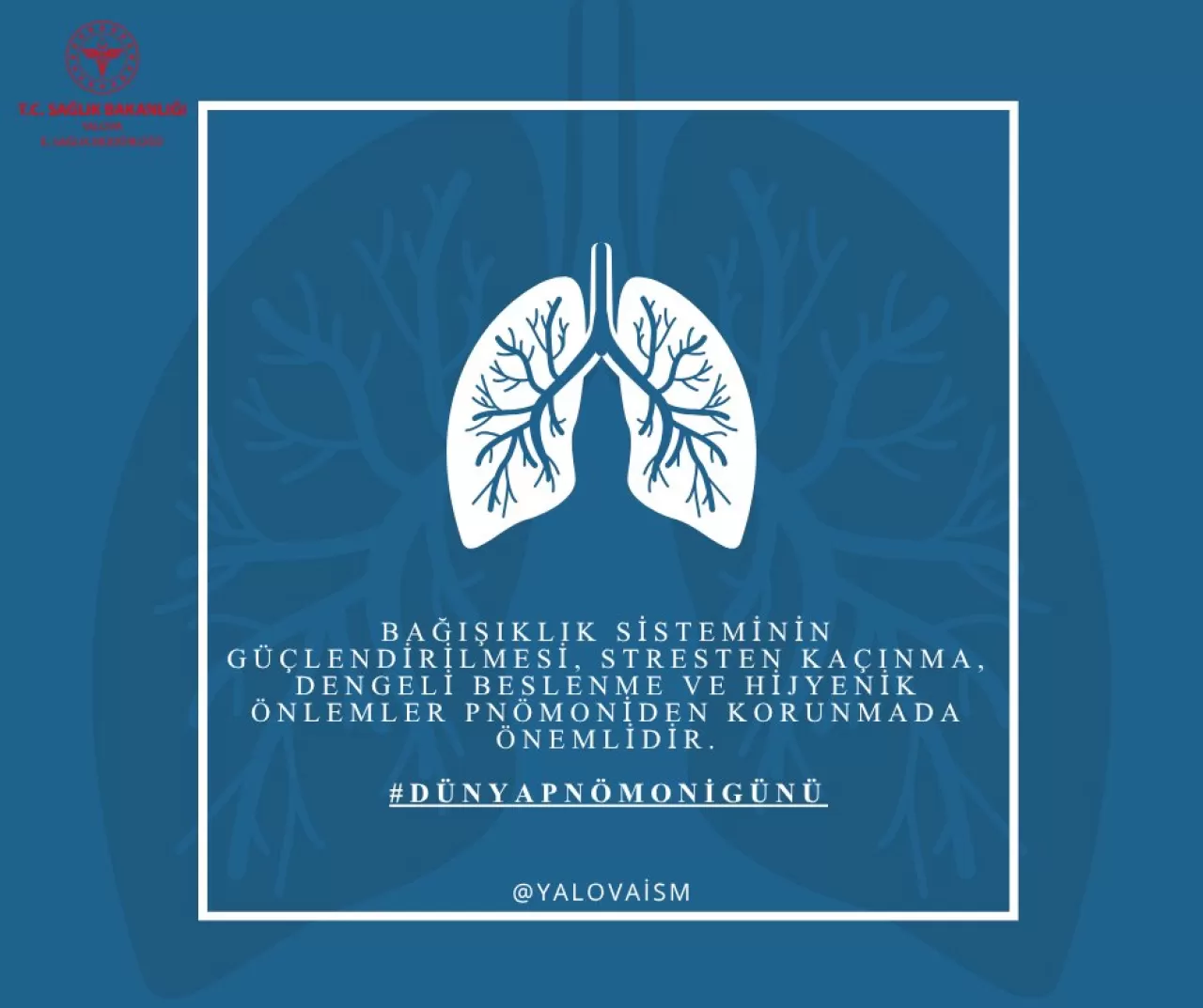 Yalova'da Dünya Pnömoni Günü'nde Zatürre Uyarısı: Bağışıklık Sistemini Güçlendirin