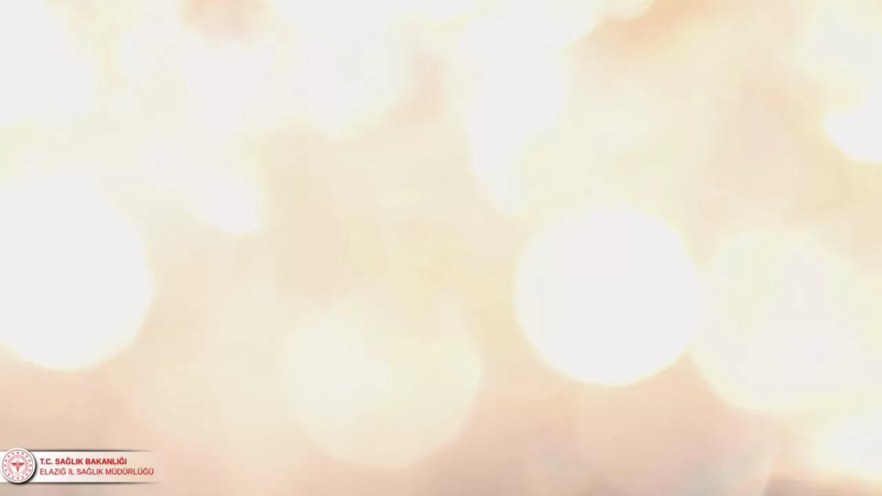 Elazığ'da Öğrencilere 