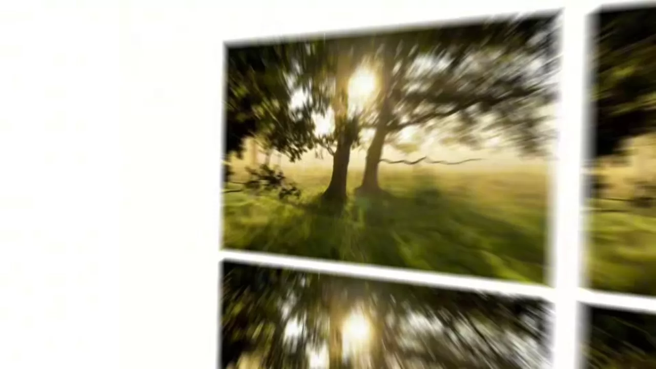 İstanbul İl Sağlık Müdürlüğü, Milli Ağaçlandırma Günü'nde Fidan Dikti