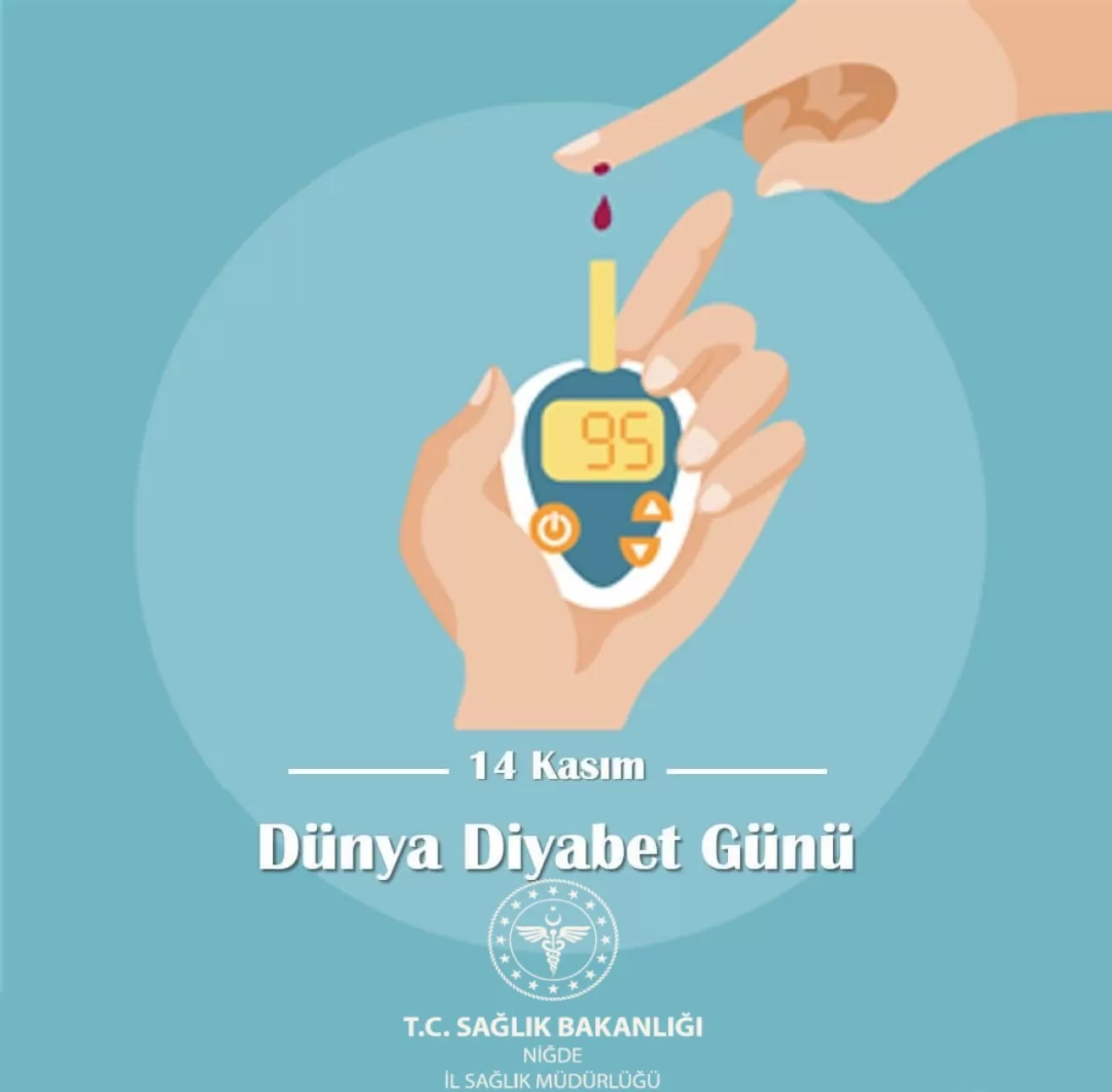 Niğde'de Dünya Diyabet Günü'nde Sağlıklı Yaşam Vurgusu