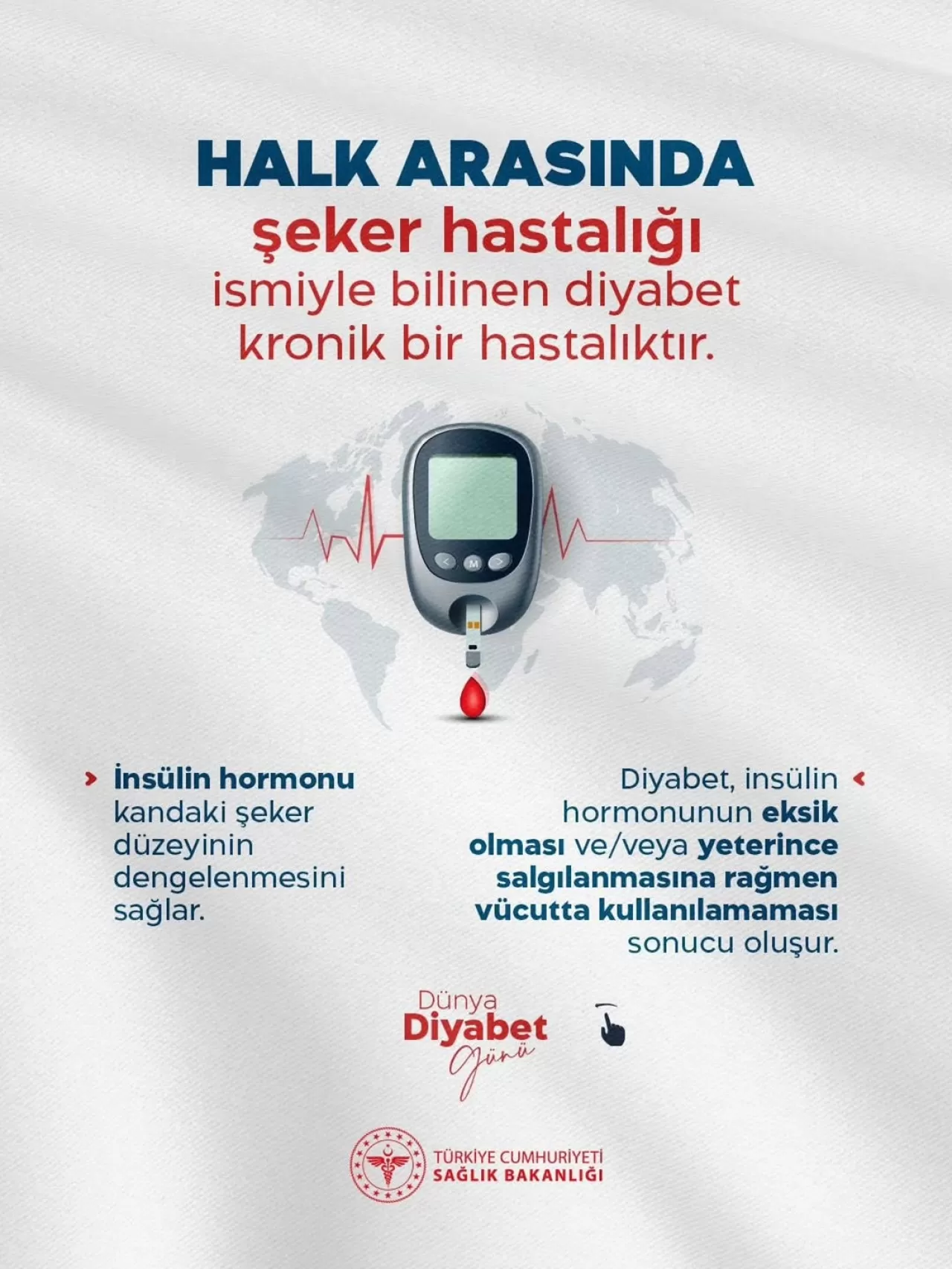 Bingöl'de Diyabet Farkındalığı için Harekete Geçildi