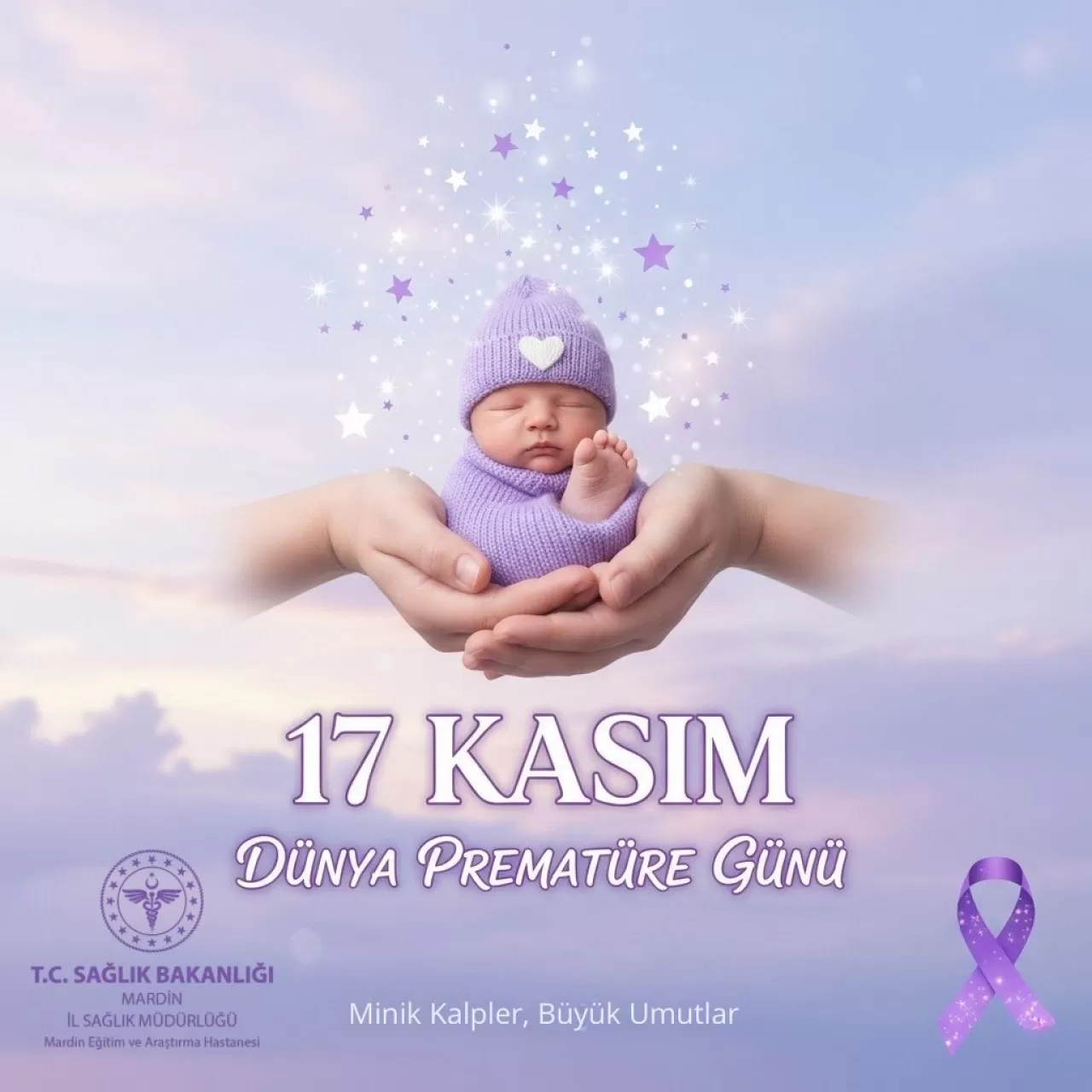 Mardin'de Dünya Prematüre Günü Kutlandı: Minik Kahramanlar ve Sağlık Çalışanları Onurlandırıldı