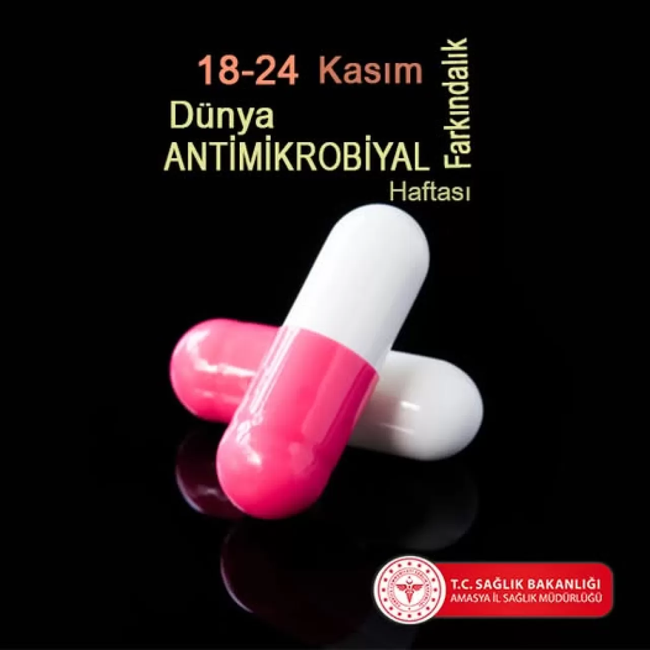 Amasya'da Antimikrobiyal Direnç Tehlikesine Karşı Uyarı