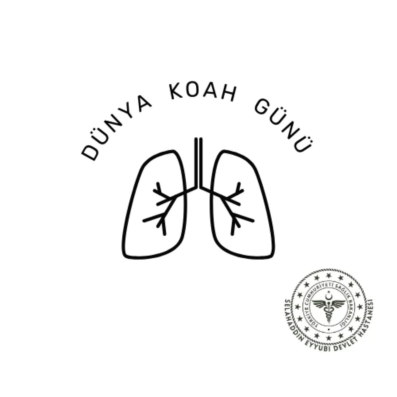 Diyarbakır Selahaddin Eyyubi Devlet Hastanesi'nde KOAH Farkındalık Etkinliği Düzenlendi