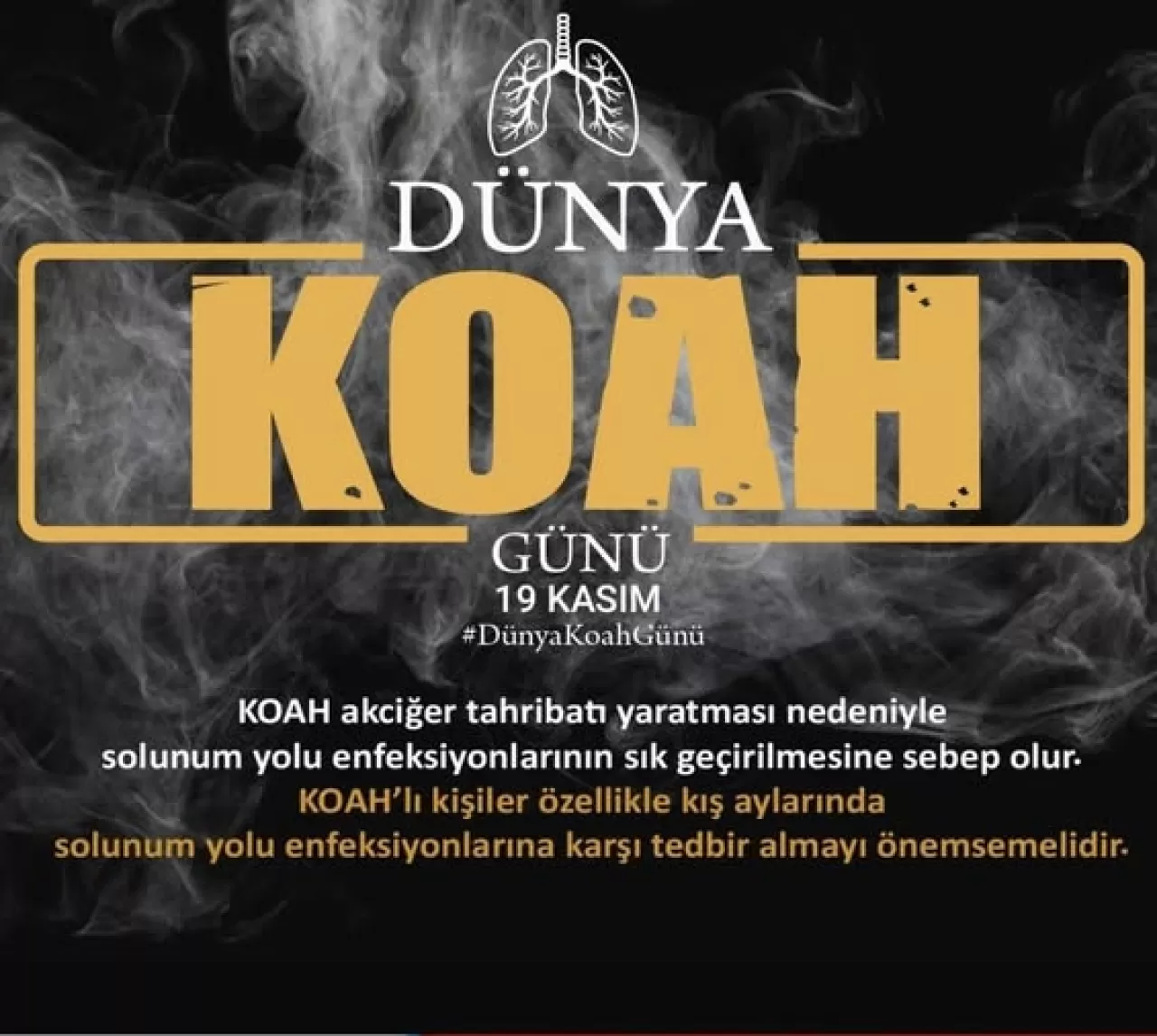 Karaman'da Dünya KOAH Günü'nde Farkındalık ve Erken Tanı Vurgusu