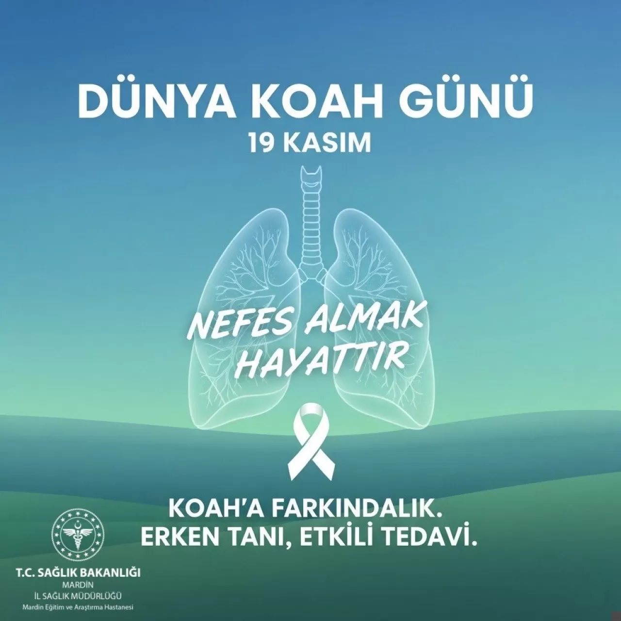 Mardin'de 19 Kasım Dünya KOAH Günü'nde Hastalığa Dikkat Çekildi