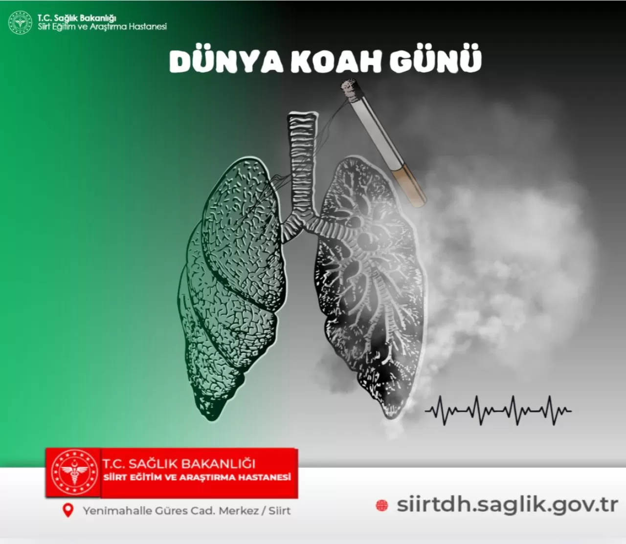 Dünya KOAH Günü'nde Erken Tanı ve Sağlıklı Yaşam Vurgusu