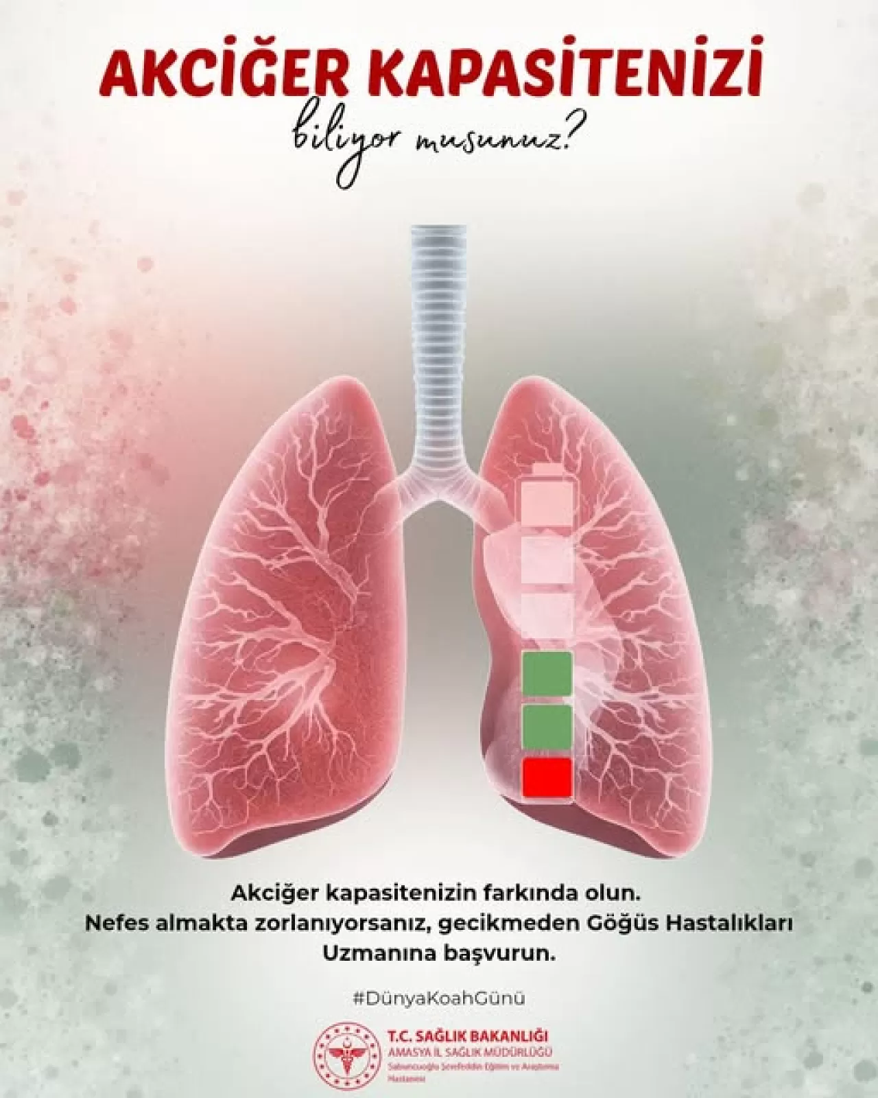 Amasya'da KOAH Farkındalığı: Hastane Vatandaşları Bilgilendiriyor