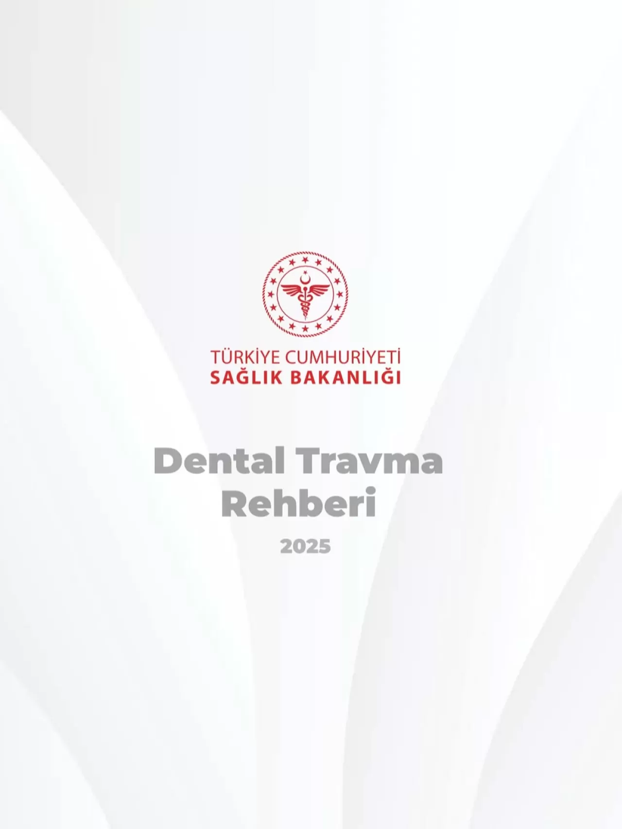 Bursa Karacabey'den Kritik Uyarı: Ağız ve Diş Sağlığınız İçin Bu 6 Kural Hayati Önem Taşıyor