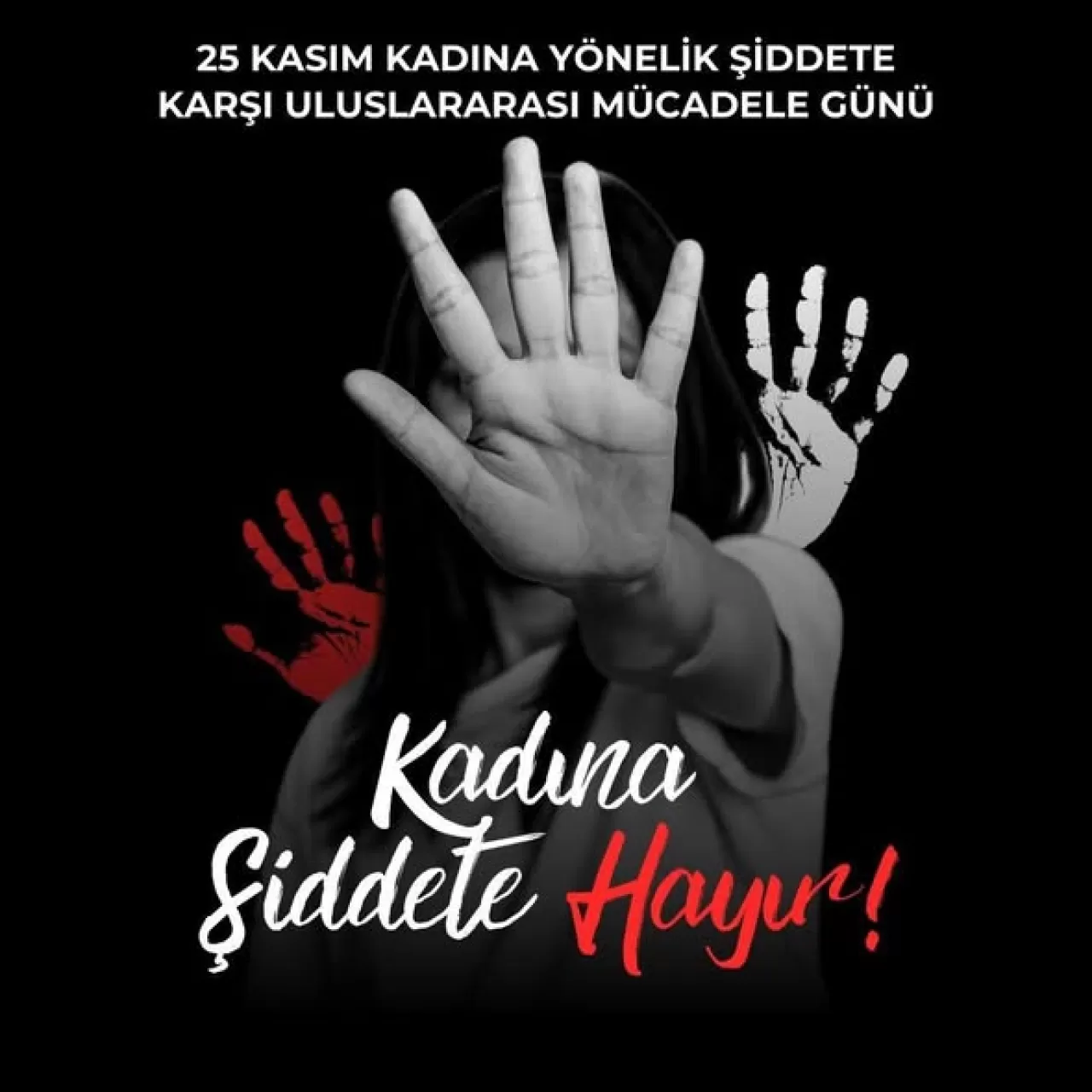 Ardahan'da 25 Kasım Kadına Yönelik Şiddetle Mücadele Günü'nde Eğitim Seferberliği