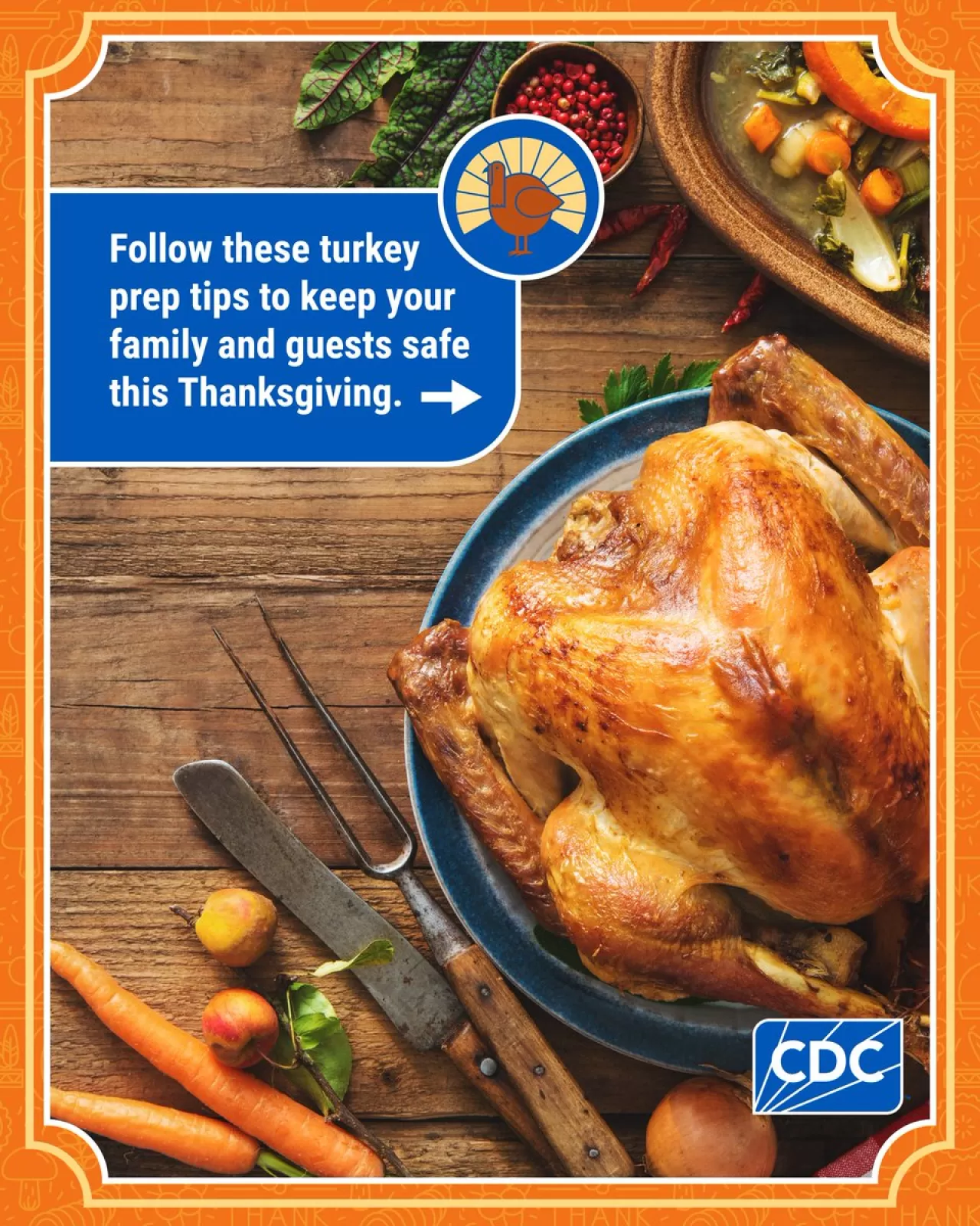 CDC'den Şükran Günü Öncesi Kritik Uyarı: Hindi Güvenliği İpuçları