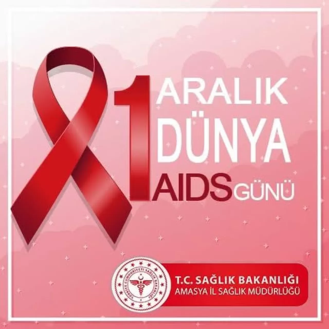 Amasya'da 1 Aralık Dünya AIDS Günü'nde 