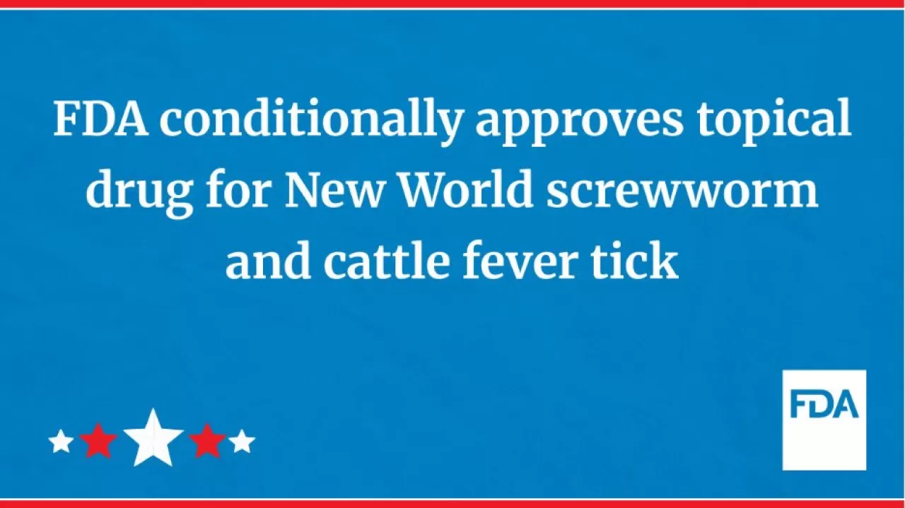 FDA, Sığırlarda Yeni Dünya Screwworm ve Sığır Humması Kenesi İçin Yeni Topikal İlaç Onayladı