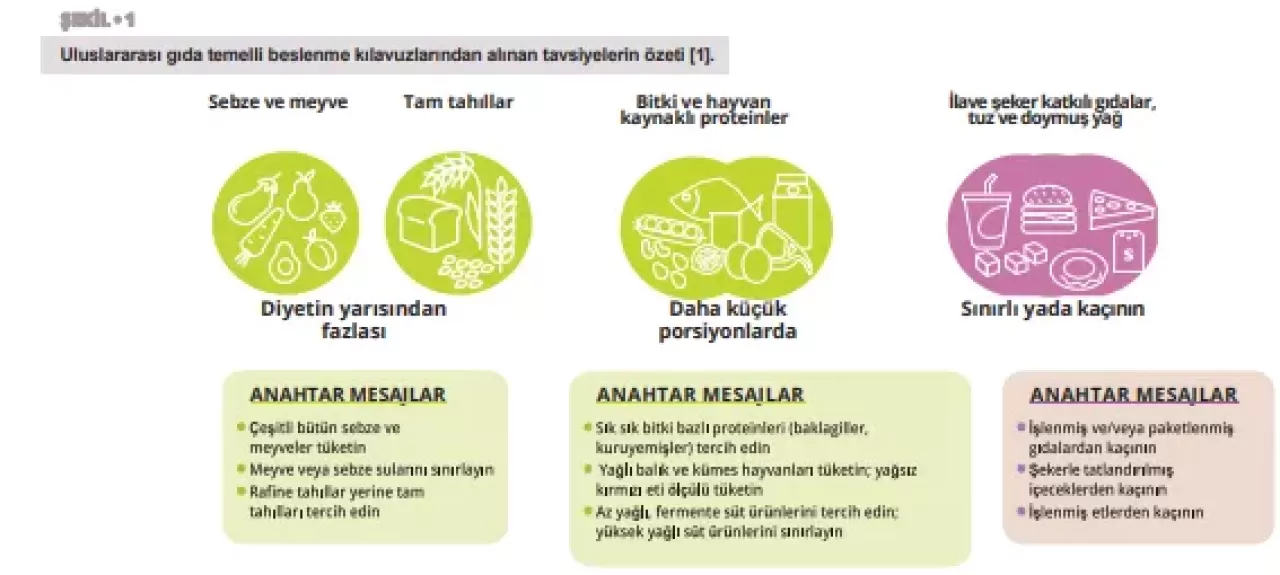 Sağlık Okuryazarlığını Artırmak İçin Yeni Eğitim İhtiyacı