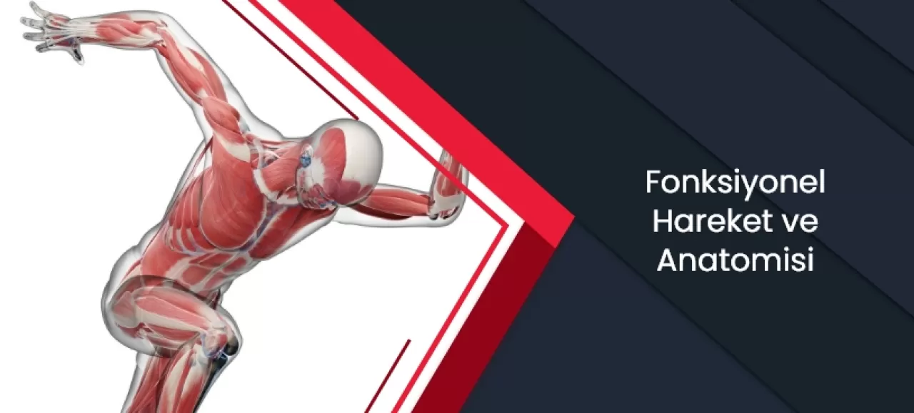 Sağlıklı Yaşamın Anahtarı: Koruyucu Hekimlik ve Bilimsel Yaklaşımlar