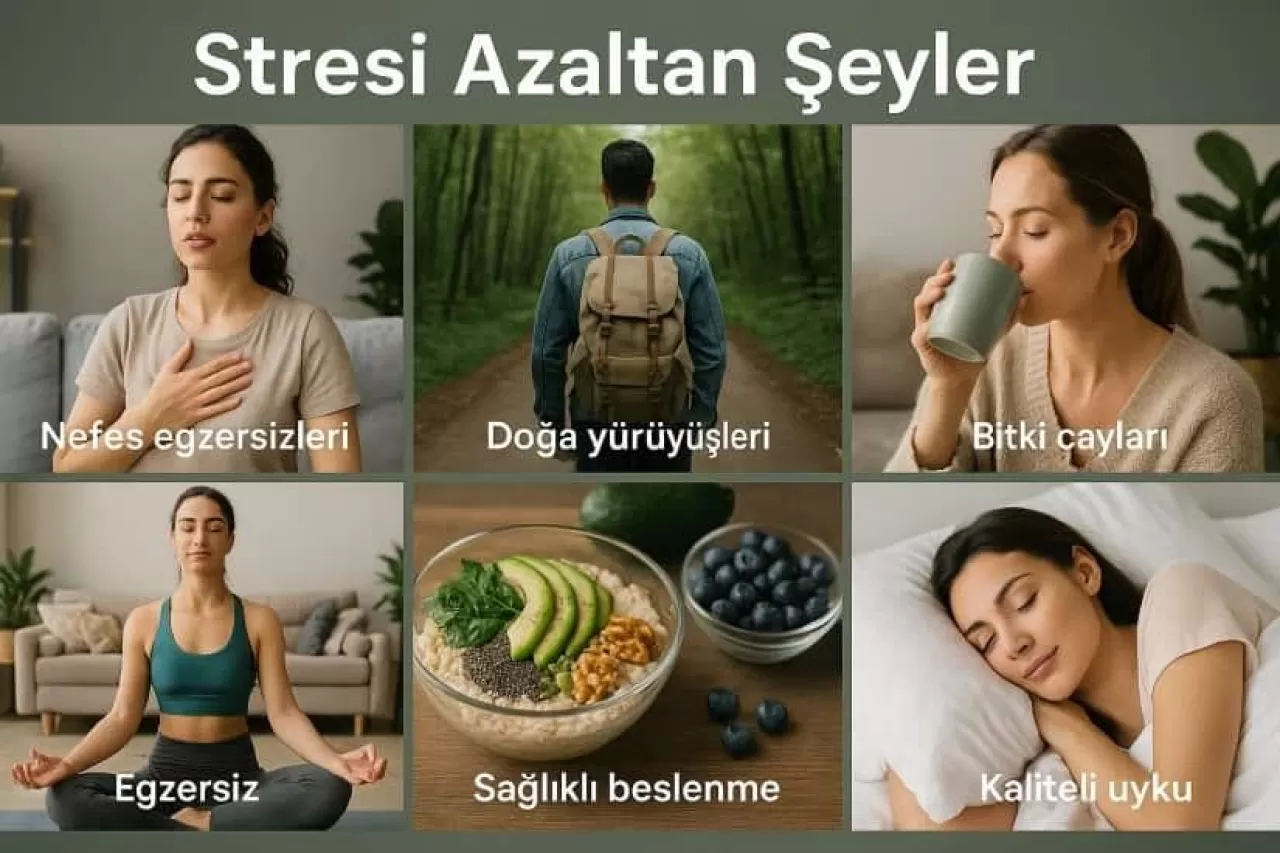 Günlük Sosyal Bağlar Stres Direncini Nasıl Güçlendiriyor?