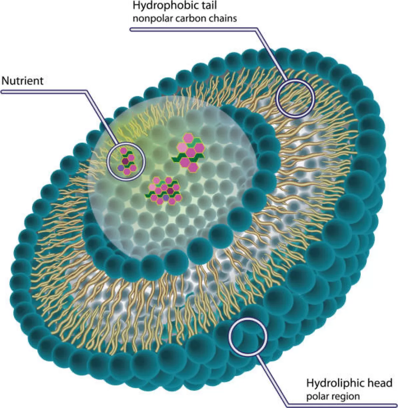 Nanoteknoloji ve Dijital Eğitimle İlaç Tedavisinde Çığır Açan Gelişmeler