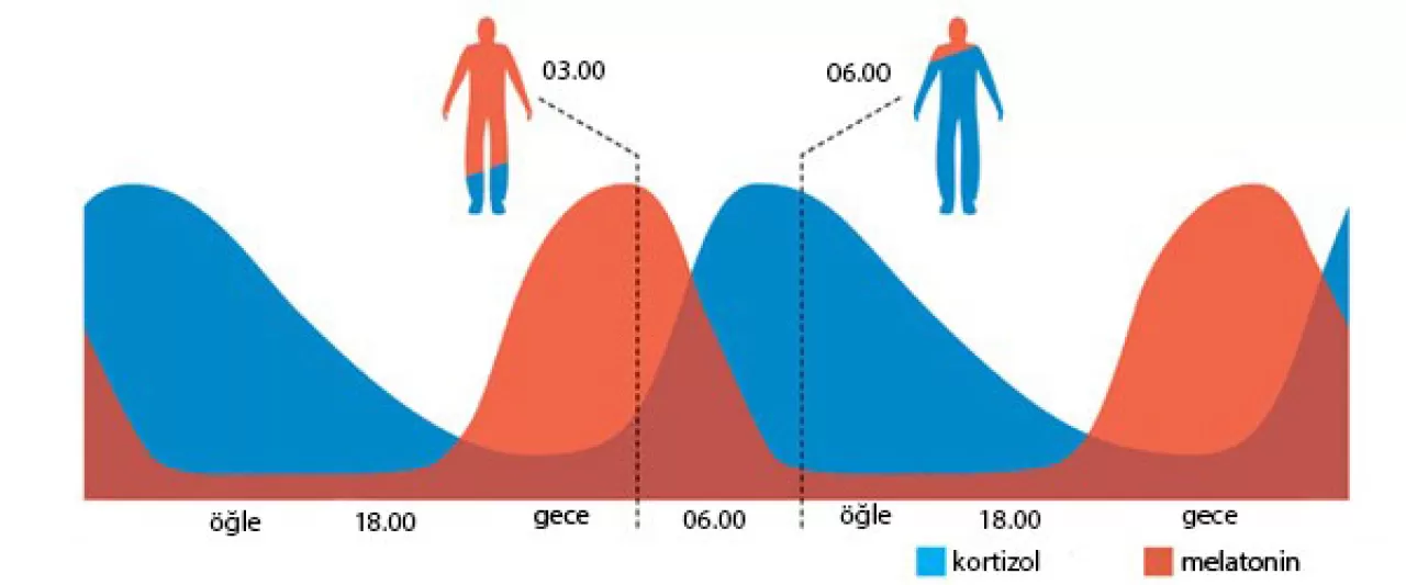 Gece Ekranları Uyku Düşmanı: Mavi Işık Filtreleri Kaliteli Uyku İçin Kritik Öneme Sahip