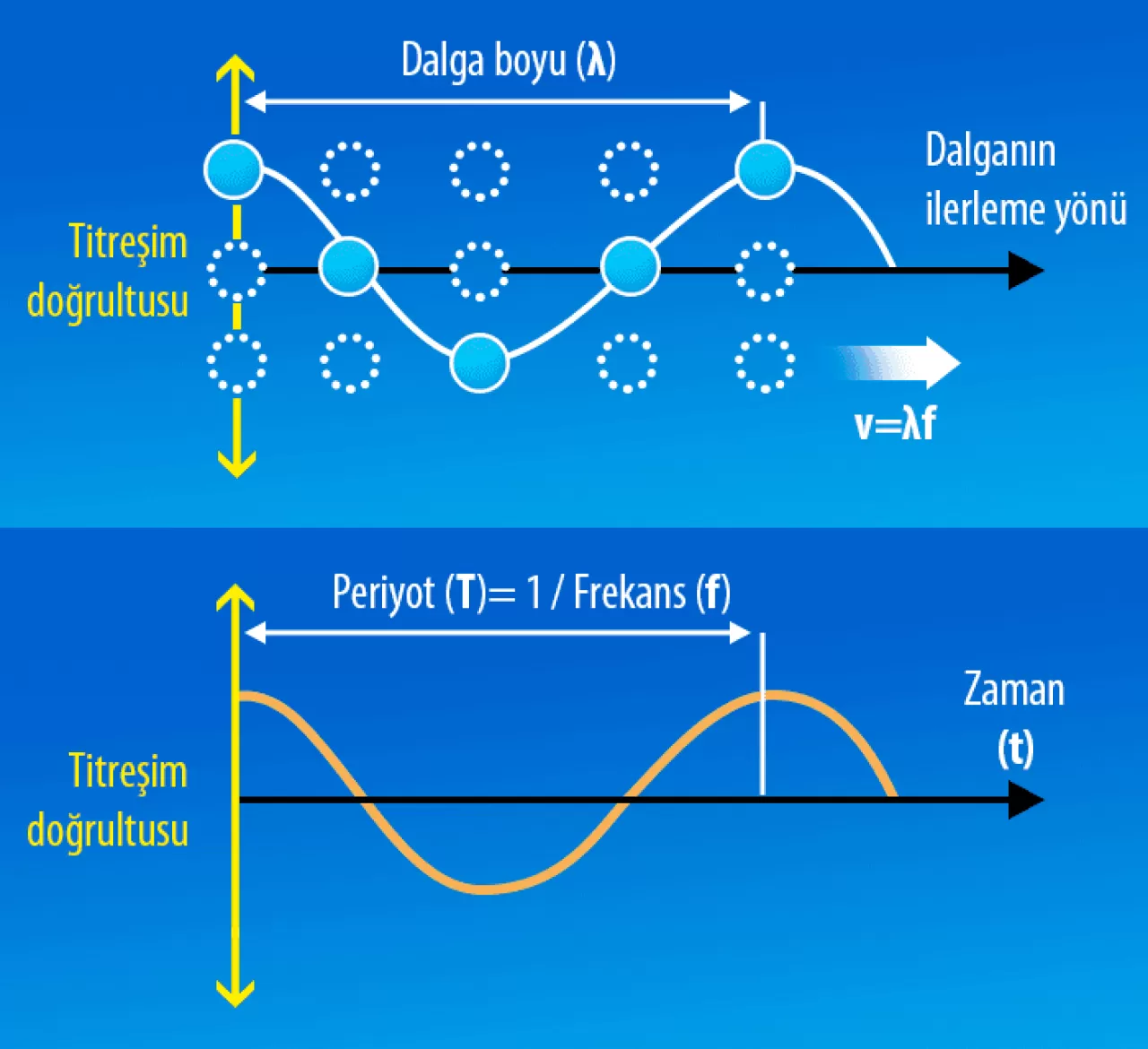 Sağlıklı Yaşamın Sırrı: Koruyucu Hekimlik ve Bilimsel Trendler
