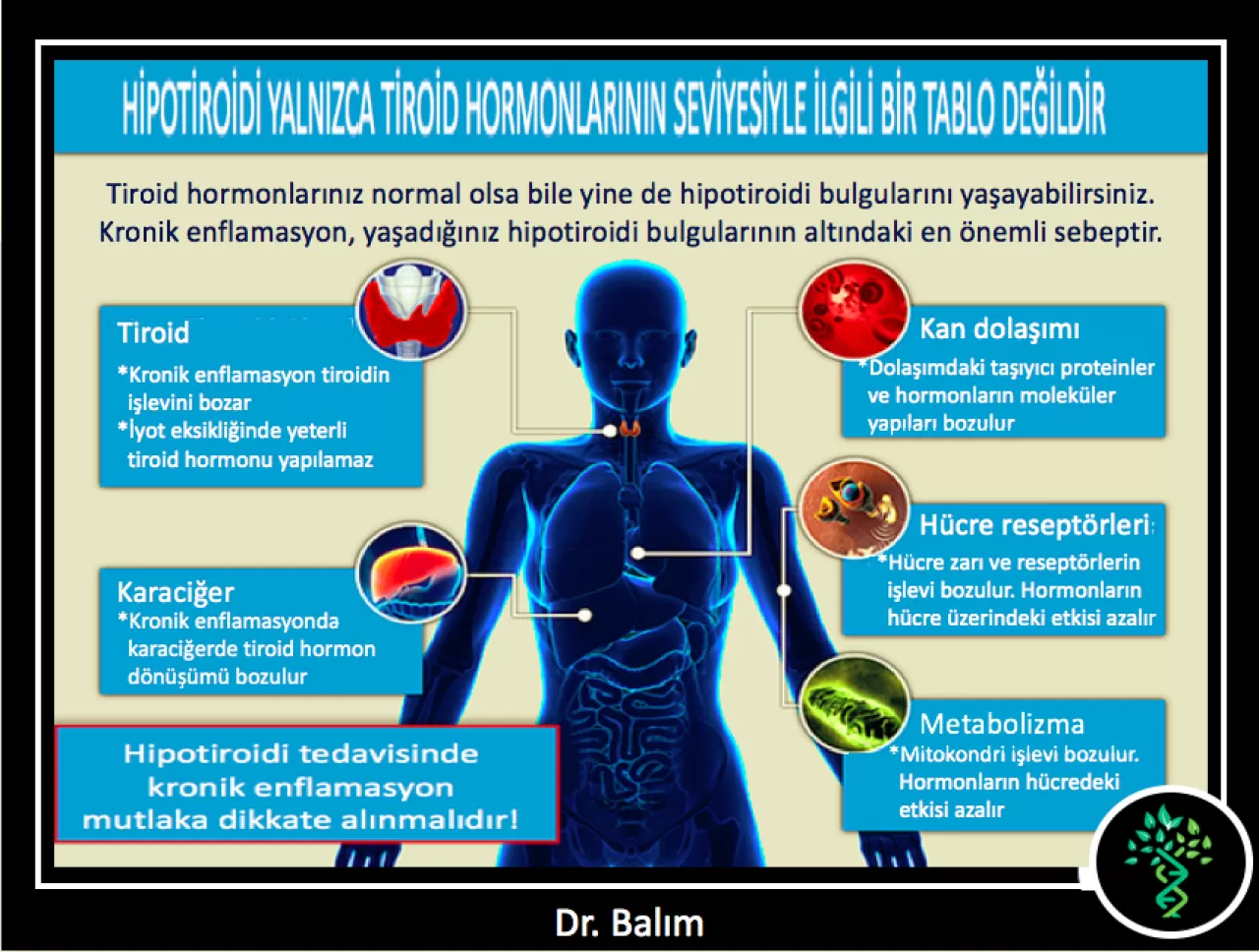 Kronik Yorgunluğun Sessiz Nedeni: Hipotiroidizm Belirtileri Gün İçinde Nasıl Kendini Gösteriyor?