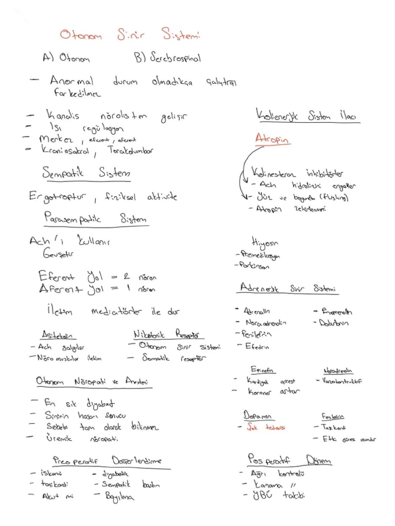 Araştırma Önerisi: Sağlıklı Yaşam Trendlerinin Bilimsel Temelleri