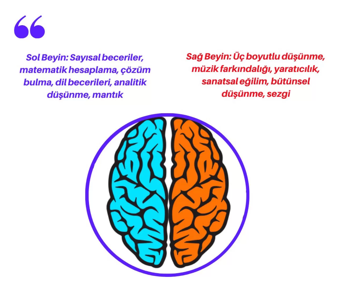Günde 10 Dakika Sol El Kullanmak Beyin Esnekliğini Artırabilir