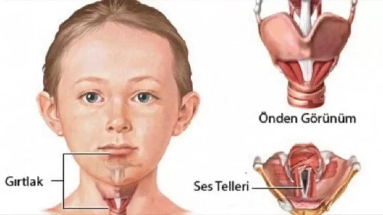 Sesinizdeki Gizli Tehlike: Kronik Ses Titreşim Bozukluklarına Dikkat