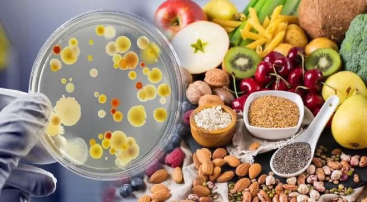 Sağlık Okuryazarlığını Artırmak İçin Yeni Eğitim Girişimleri Gündemde