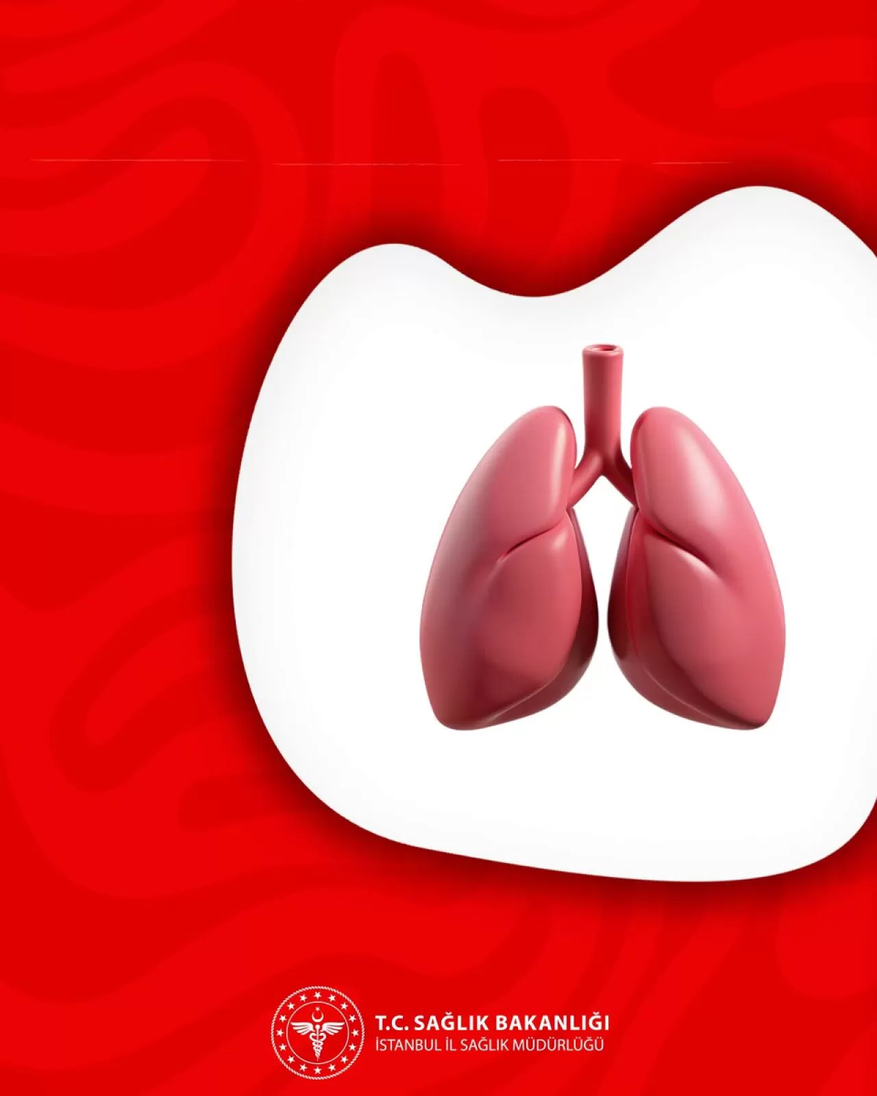 İstanbul'da Verem Uyarısı: İki Haftadan Uzun Süren Öksürüğe Dikkat!