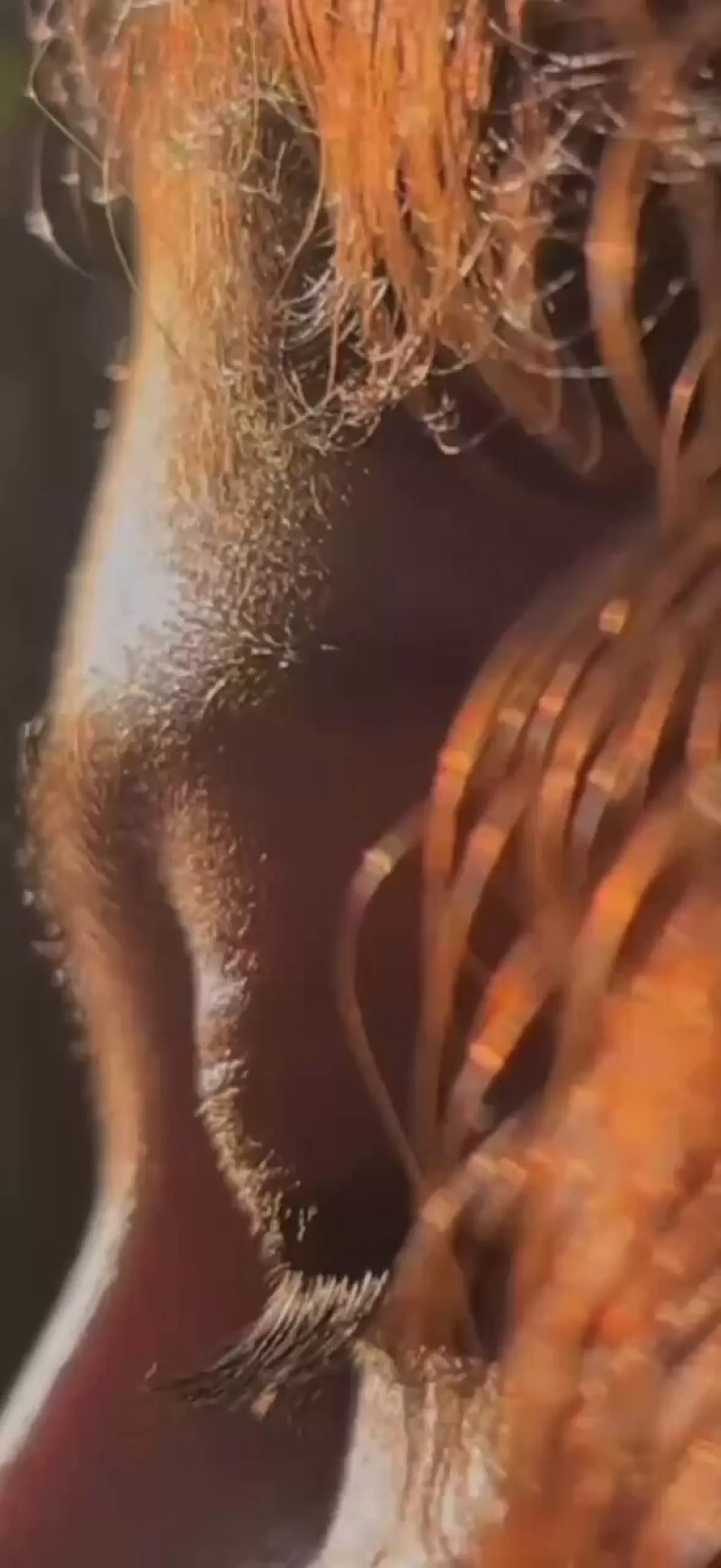 Kocaeli Şehir Hastanesi'nden Engelsiz ve Erişilebilir Sağlık Hizmeti