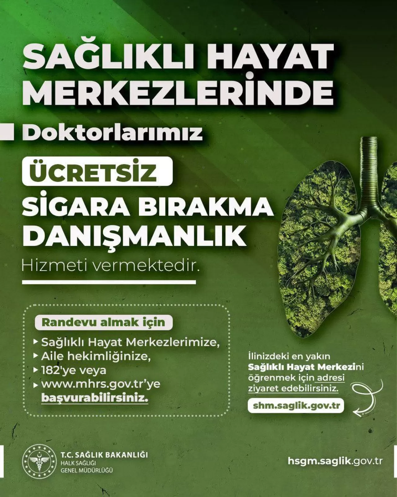 Yalova'da Sağlıklı Hayat Merkezleri ve Aile Hekimliği Randevu İmkanları